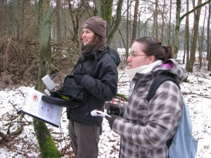 parus_major_IMG_1680 Researchers in the field