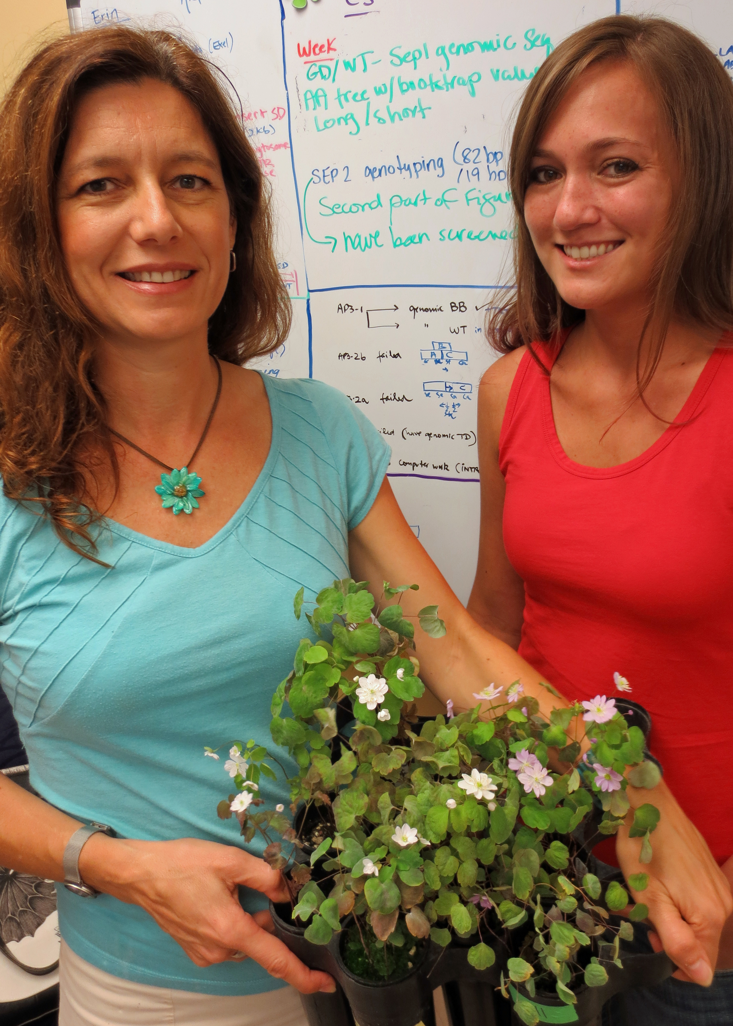 Di Stilio Galimba Verónica Di Stilio and Kelsey Galimba with the wild type of plant they studied