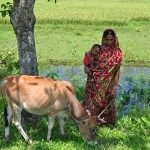 A Bangladeshi woman.