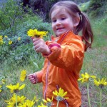 A child picks and admires a flower during outdoor play.