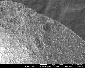 Magnified dust particle with raisin-shaped microbe