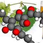 A humulone molecule is superimposed on a hops vine and a glass of beer.