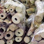 Ivory tusks confiscated by Hong Kong Customs.