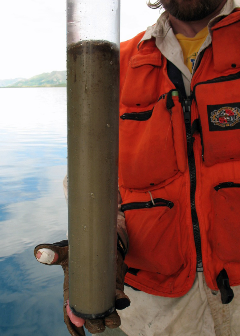 Clear tube holds mud-colored sediment