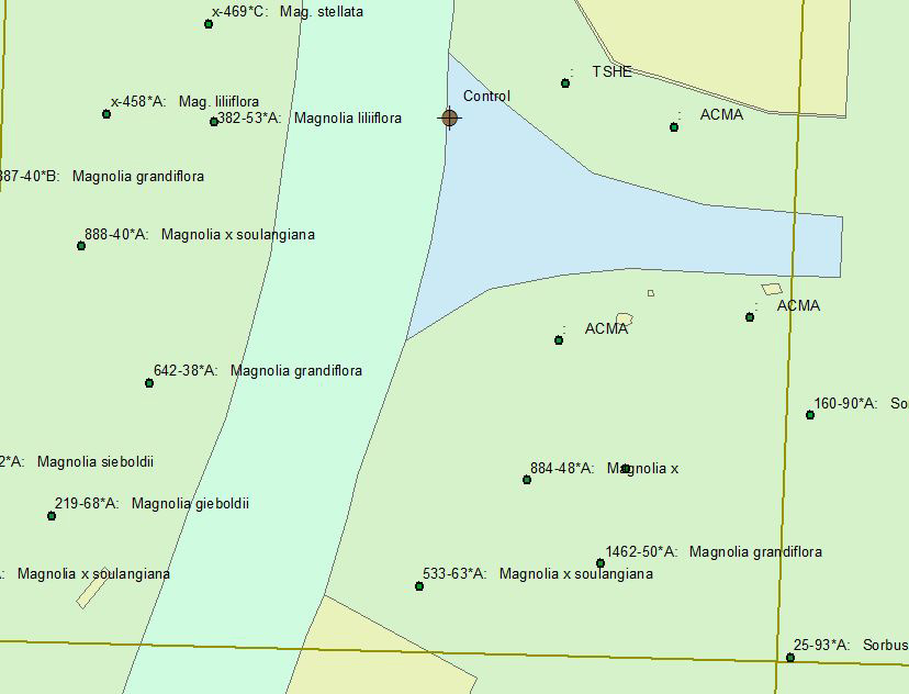 Map showing Arboretum way and details of where plants are located