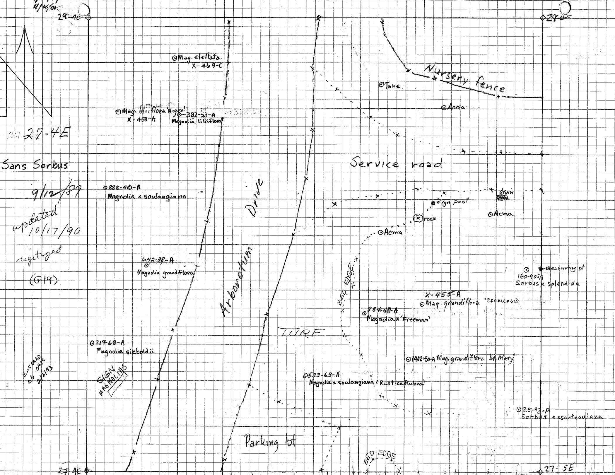 Grid paper with Arboretum Way sketched in, plants noted
