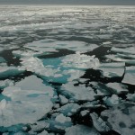 Chuchki Sea ice