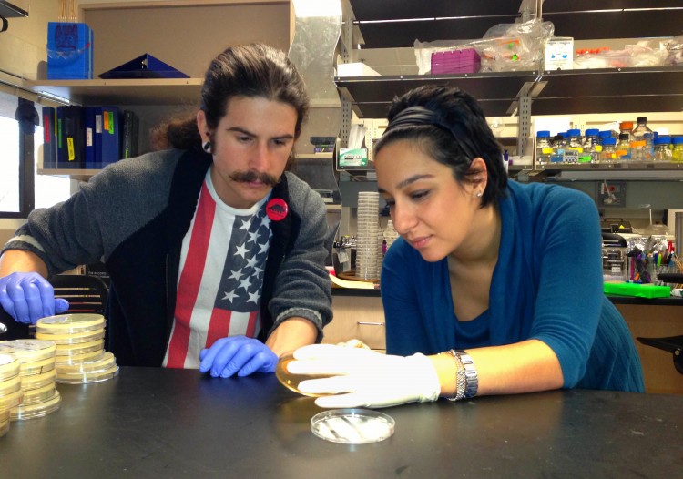 head on collisions between dna code