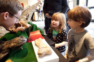 Dino Day at the Burke Museum