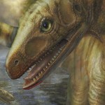 Lizard-like animal with stripes stands in forested area