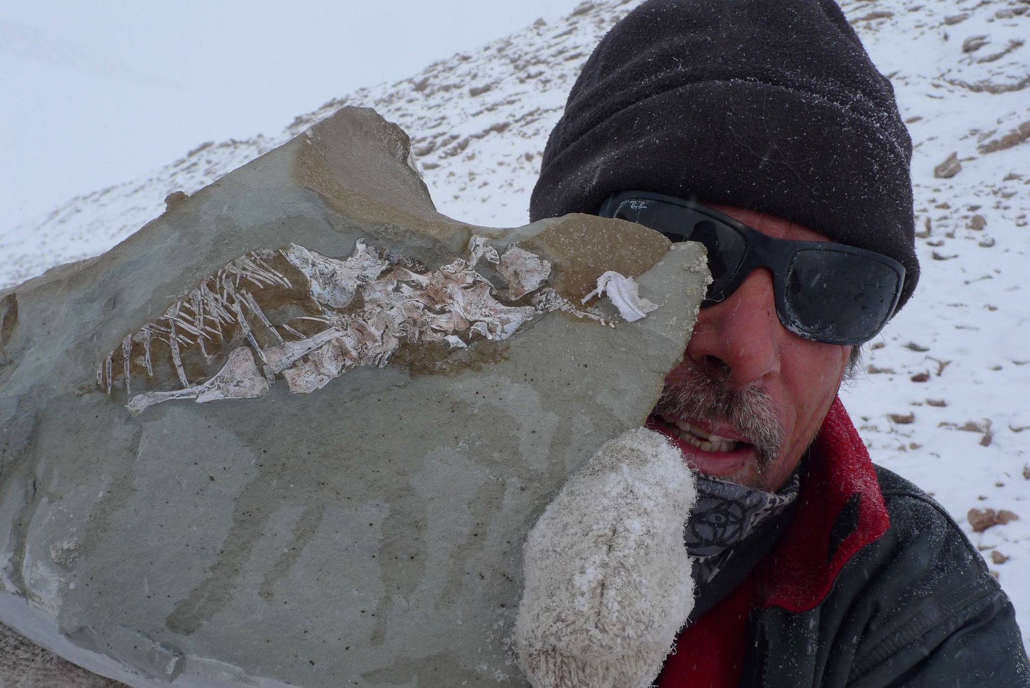 Man holds flat rock encasing part of a fossilized skeleton