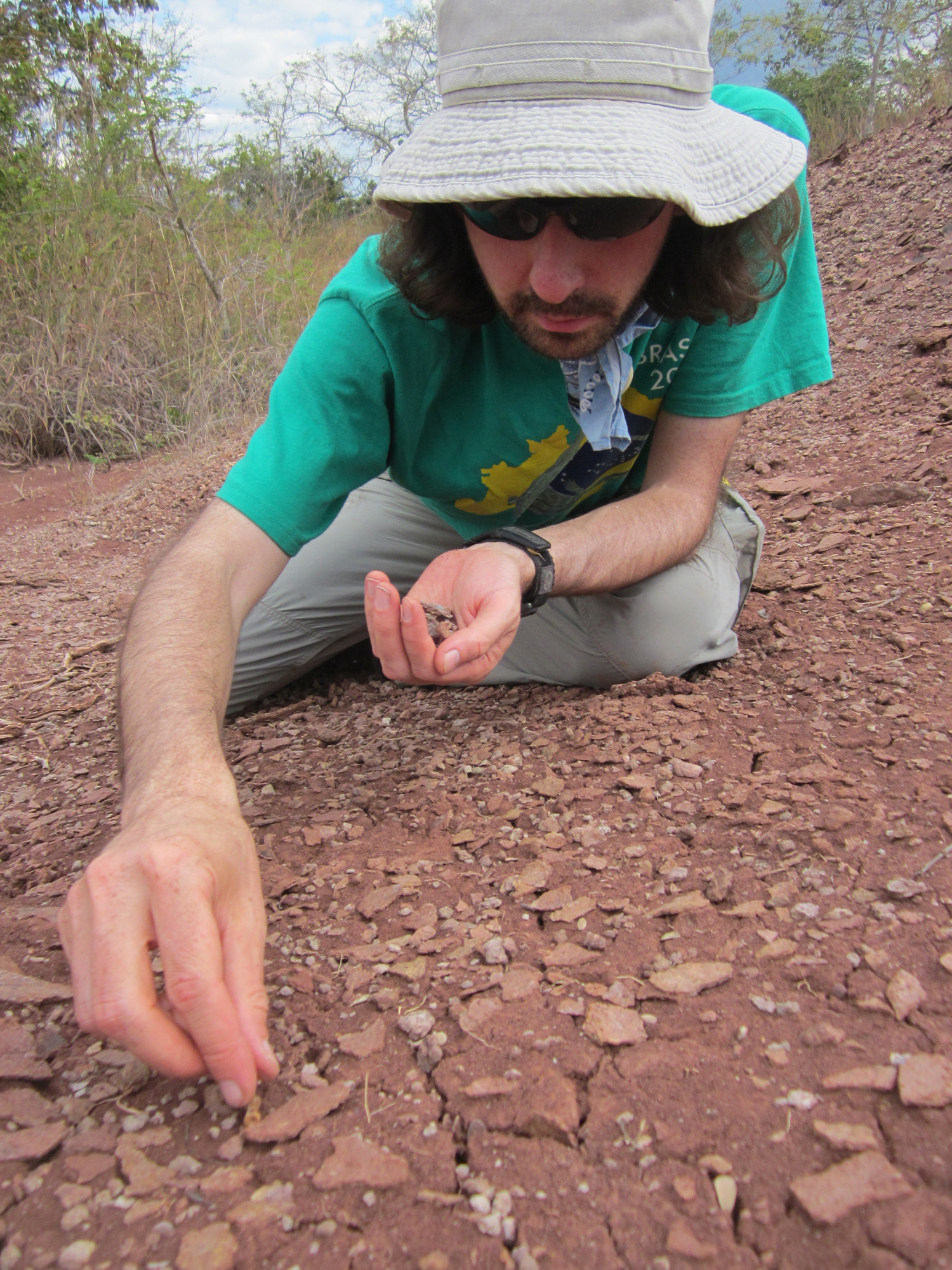 Many kneels on ground colleting bits of fossilied bones