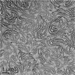 Surfactant gel structure forms after passing through device.