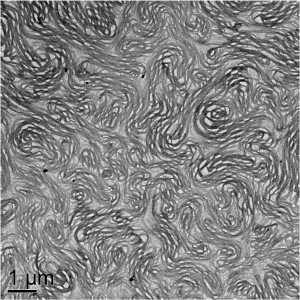 Surfactant gel structure forms after passing through device.