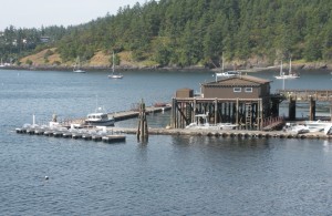 photo of dock