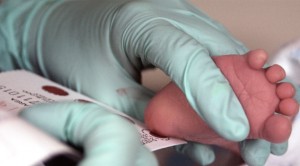 Blood is drawn from the heel of a newborn for screening.