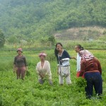 Karo Batak women at work