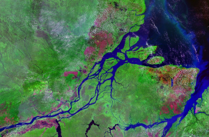 Satellite image of the Amazon River mouth