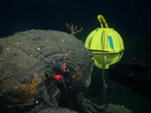 photo of seismometer underwater