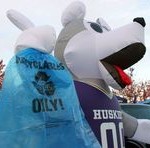 Person in Husky Dog suit holds recycle bag in paw