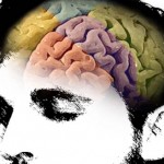 A human brain depicted in a movie poster.