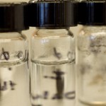 Sample bottles in a laboratory.