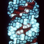 Strands in blue and red, twisted together