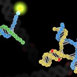 A conceptual image showing examples of mutations and no mutations.