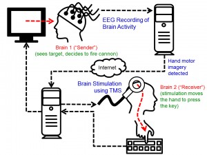 A diagram showing the cycle of the brain-to-brain interface demonstration.