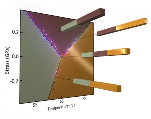 The lines of data points are where two of the three solid-state phases of vanadium dioxide can exist stably together, and the point where the three lines meet – the triple point – is where all three phases can exist together.