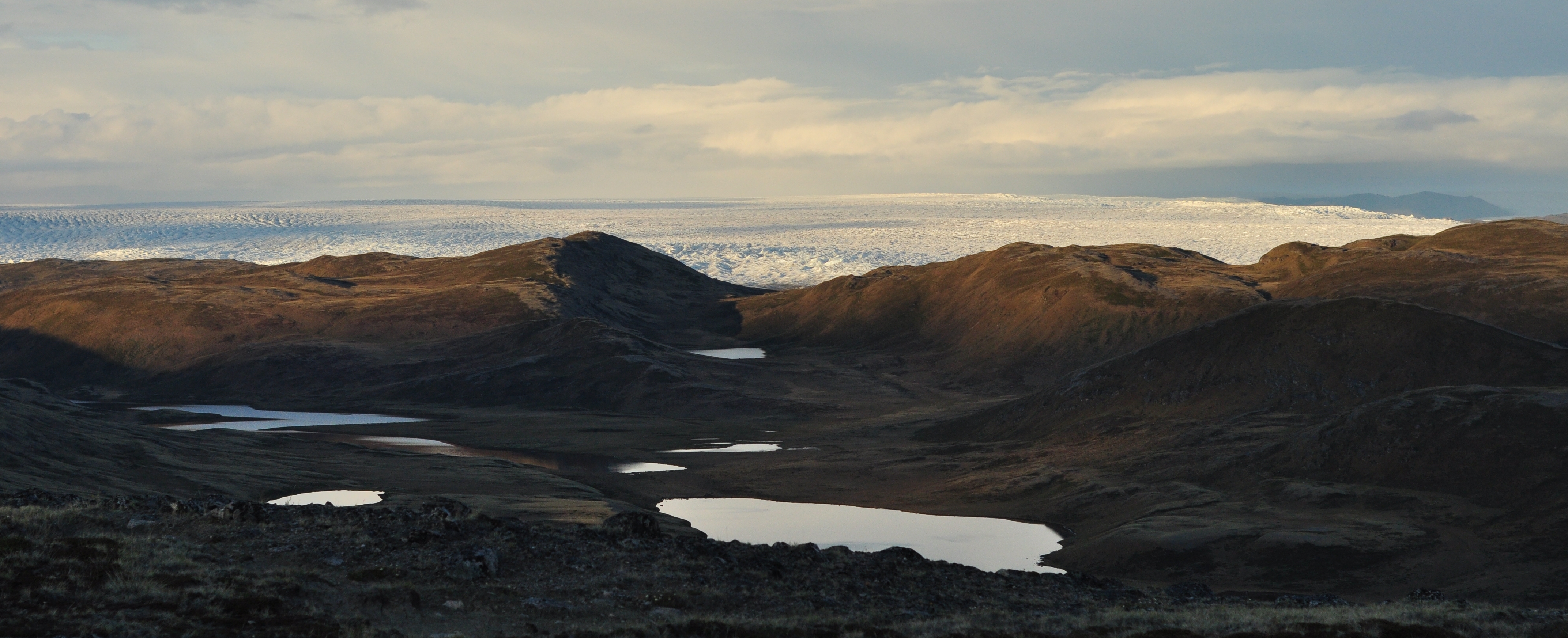 Arctic tundra
