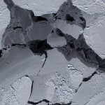 sea ice
