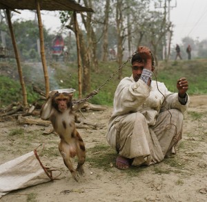 A man with a performing monkey.