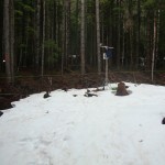 A mounted hunting camera captures snow in a forest gap, while snow appears to have melted under the trees in dense, second-growth forest behind the gap site.