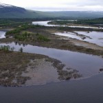 Trees, sediments in floodplain
