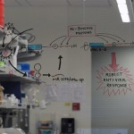 Ram Savan lab window