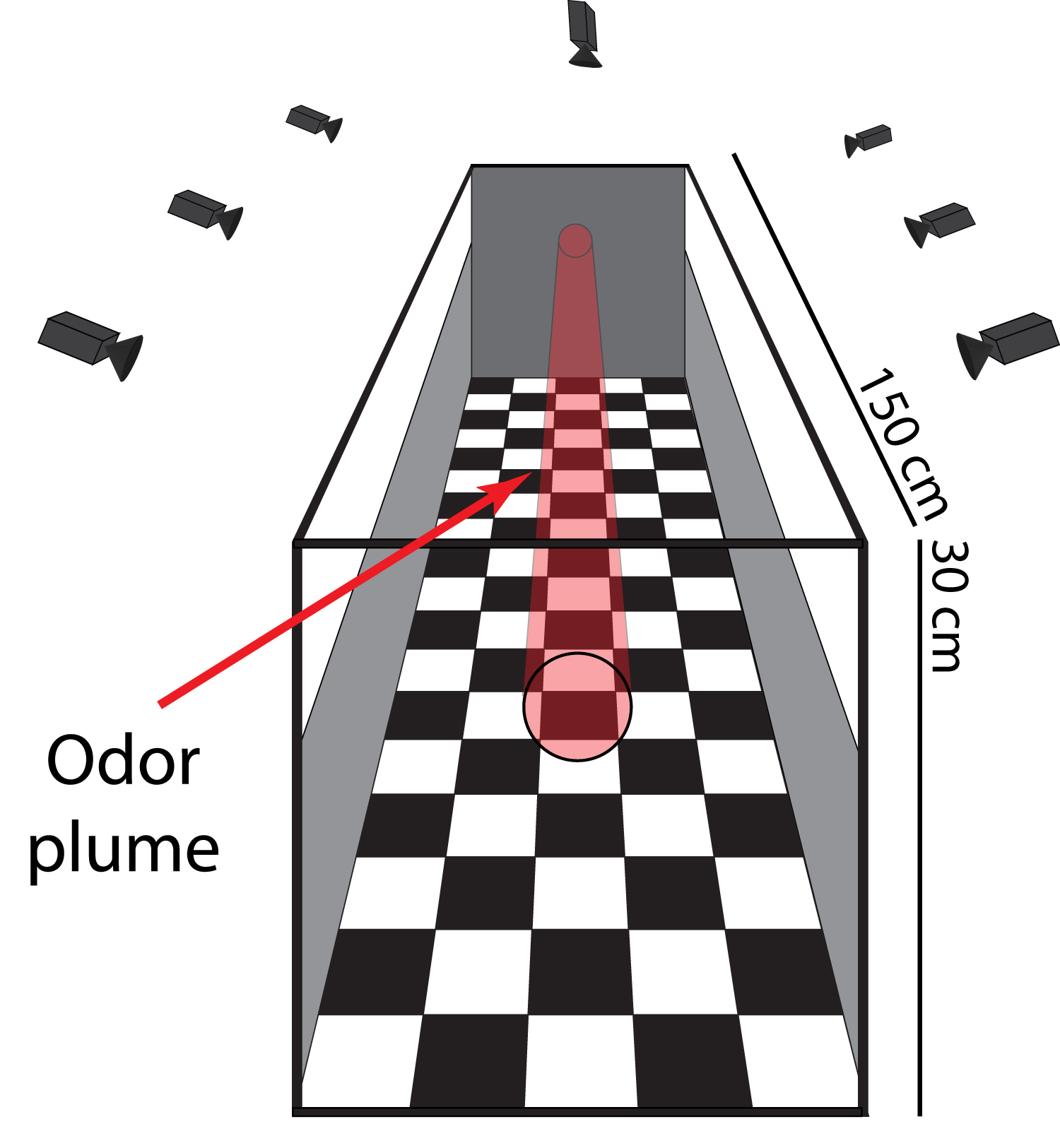 Illustration of long box-like wind tunnel with odor plume in red
