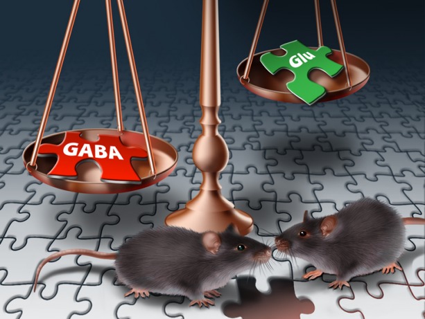 autistics mice