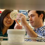 Neil King and graduate student Yu-Ru Lin observe bacterial colony growth at the Institute for Protein Design.