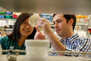 Neil King and graduate student Yu-Ru Lin observe bacterial colony growth at the Institute for Protein Design.
