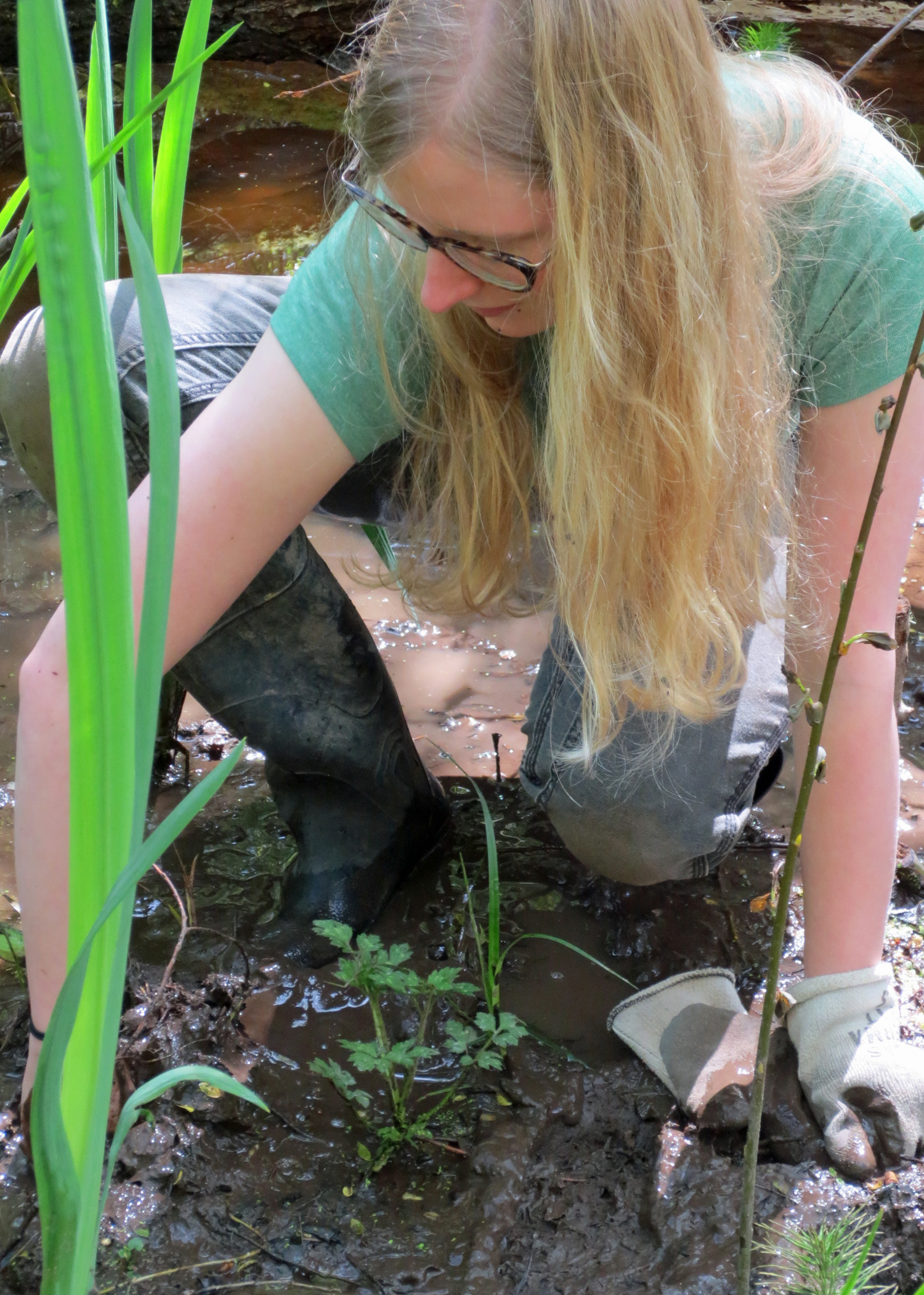 Woman kneels in mud to pull iris out
