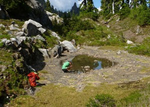 Woman kneels beside a pond the size of a living room