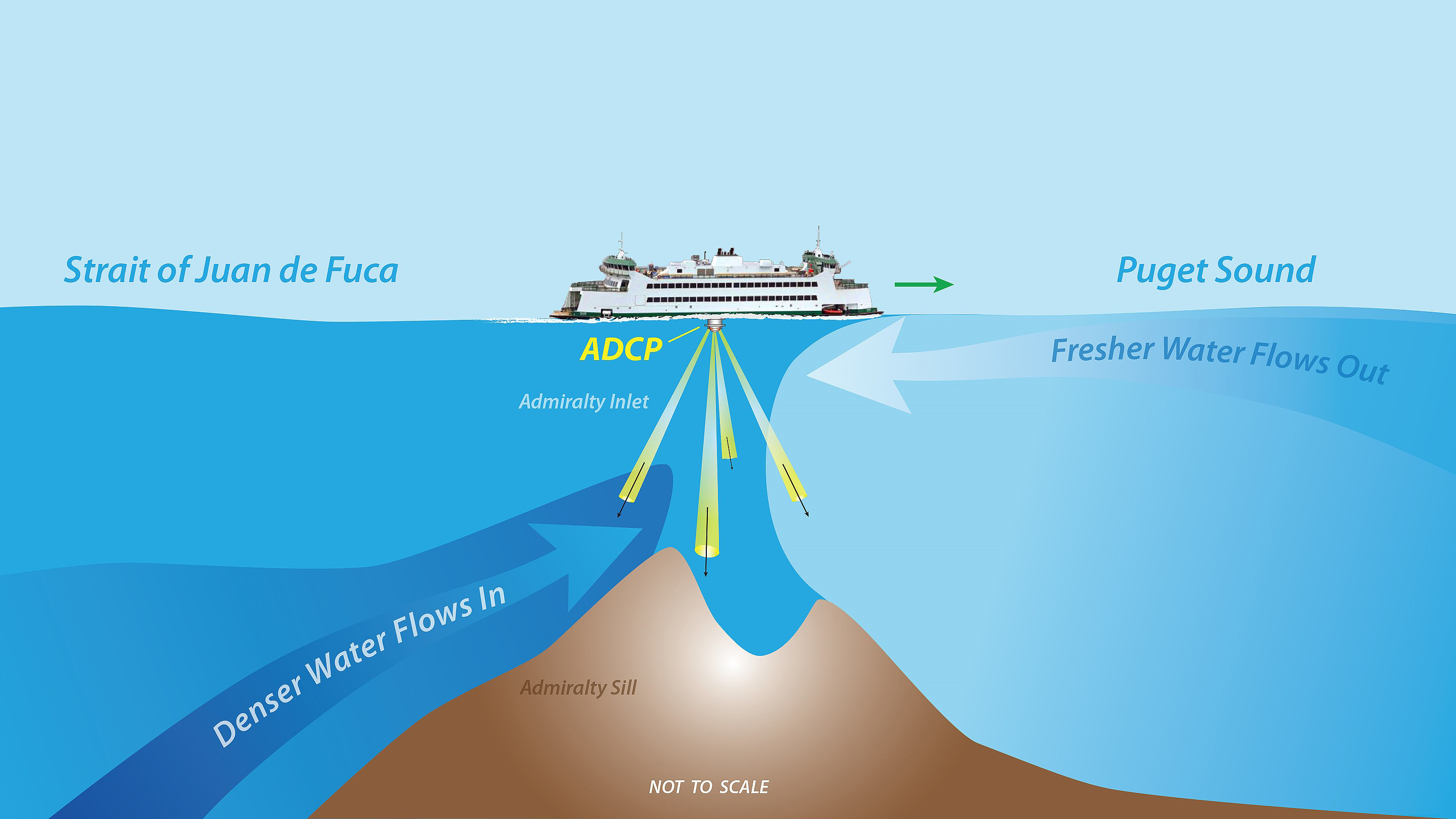 graphic of boat and hump