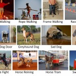 Some of the many variations that the new program has learned for three different concepts: "Horse," "Dog" and "Walking."