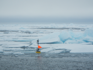 instrument in ice
