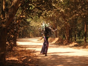 The forest provides firewood for the 40,000 Tamil villagers who live around Auroville, founded in 1968 in South India. Auroville is now home to Auroville is home to 2,000 people from 43 different countries and is one of the few places on Earth where biodiversity is actually increasing.