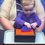 A toddler tries the probability test.