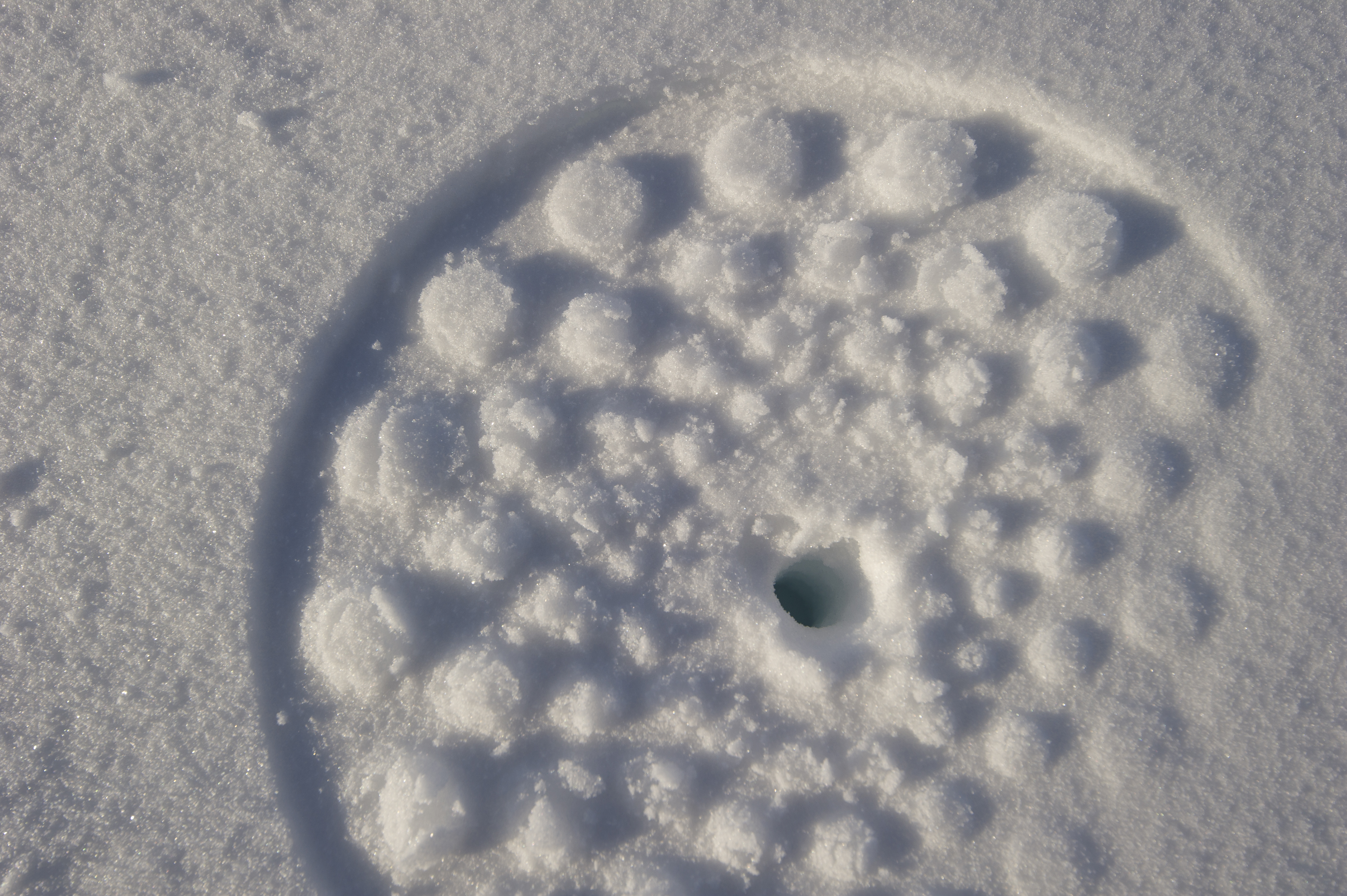 closeup of snow