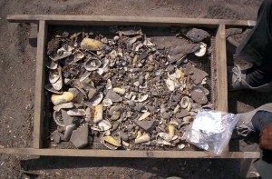 contents of midden