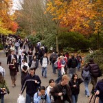 The University of Washington is offering a number of new degree programs with the start of fall quarter 2014.